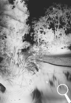Ma première photographie sténopé, réalisé avec un boîte conserve percée d'un trou rudimentaire
