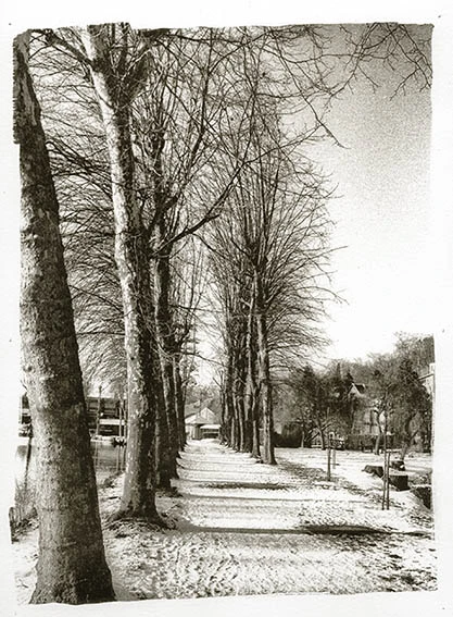 Le lac d'Orsay en hiver, la neige recouvre l'allée, une belle lumière d'hiver.