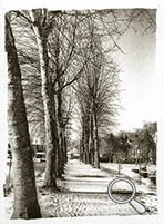 Le lac d'Orsay sous la neige, photo prise en 1978, Tirage Ziatype en 2025 sur papier Arches platine