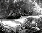 Sténopé d'un petit coin de fraîcheur aux environs de Viñales