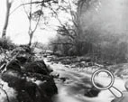 Sténopé de la rivière Shimna