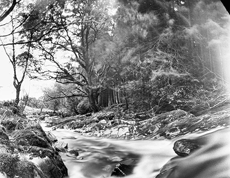 La rivière Shimna qui coule dans la forêt de Tollymore en Irlande et la pose longue laisse voir la rivière comme un mirroir et le flou des braches qui s'agitent.