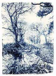 Cyanotype au bois de beauport